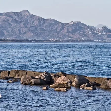 Ab Sciuri
